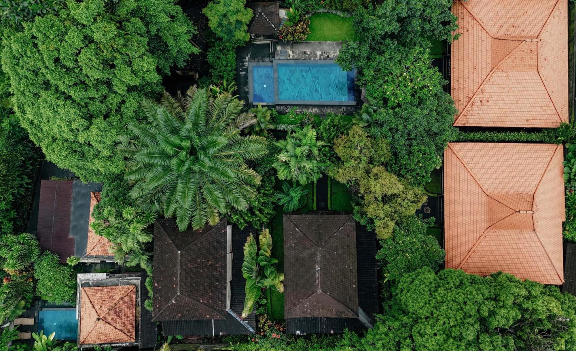 Sari Bamboo Villas Ubud  Exterior photo